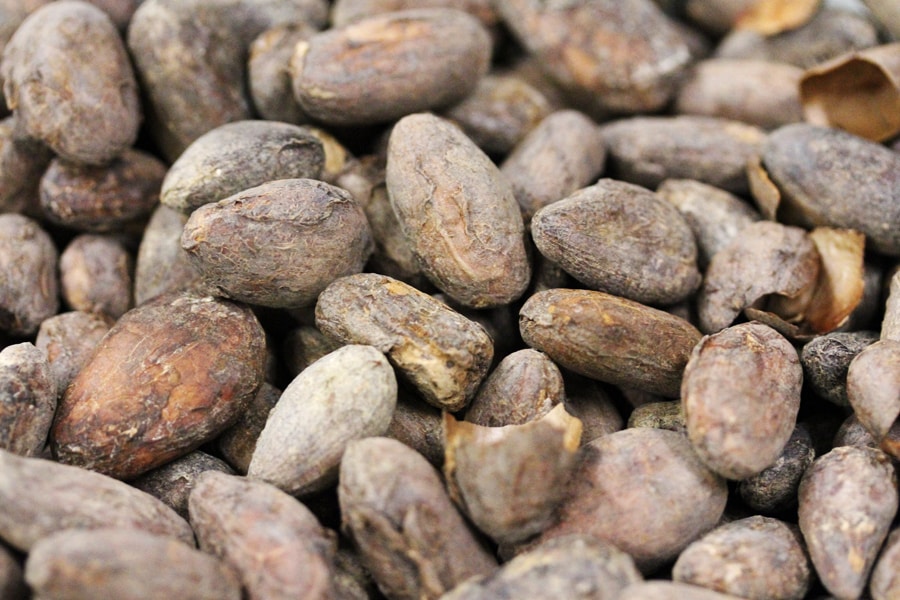 Madre Chocolate cacao beans