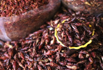 Pile of chapulines in a bowl and a bag