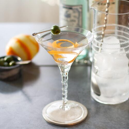 Citrus Vodka Martini Cocktail Recipe