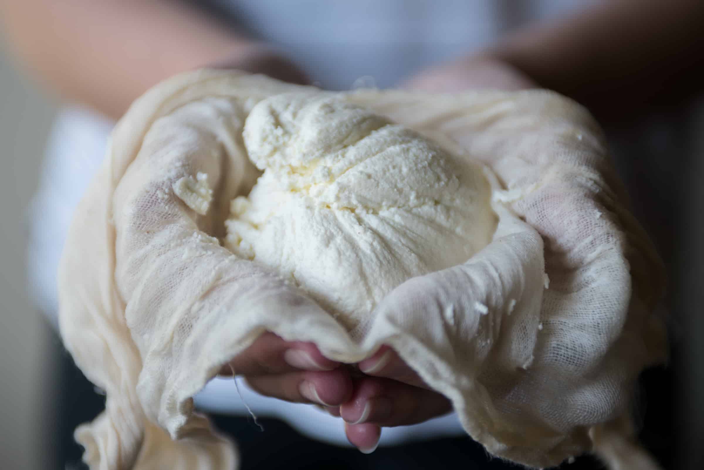 Closeup of woman holding drained ricotta cheese