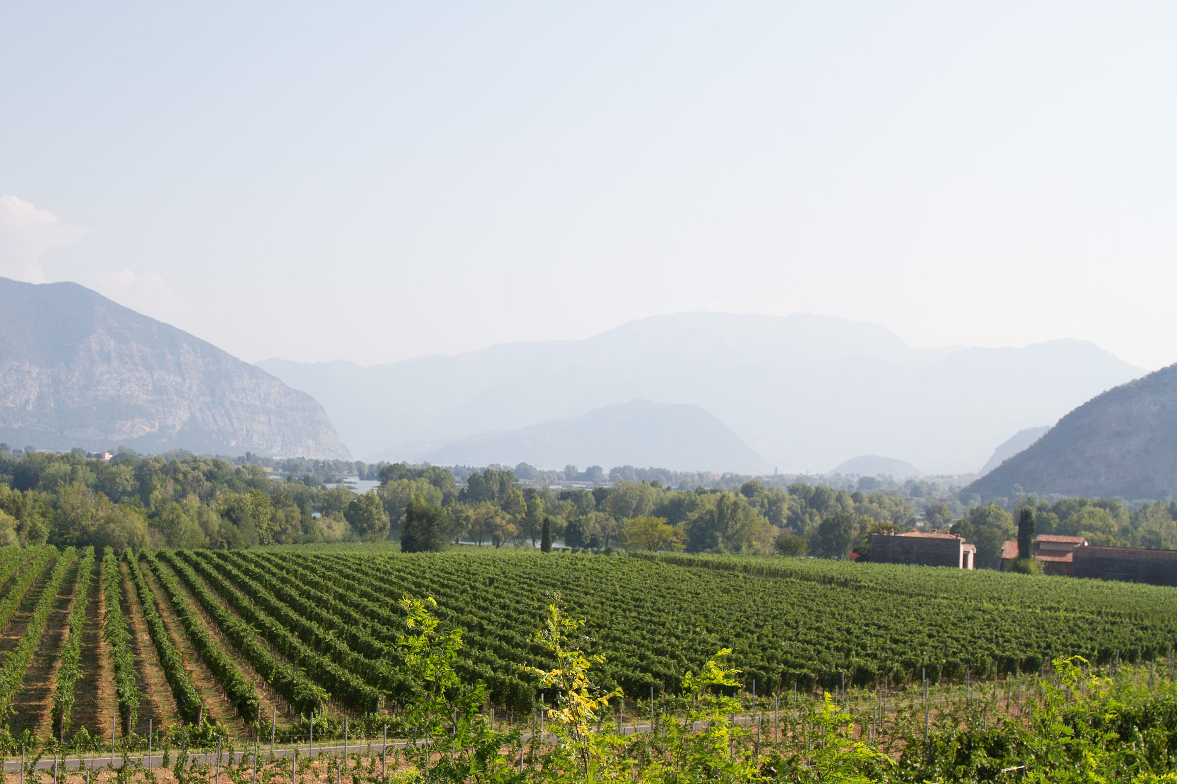 @saltandwind Itineraries| What To Do In Franciacorta | Wine Tasting | www.saltandwind.com