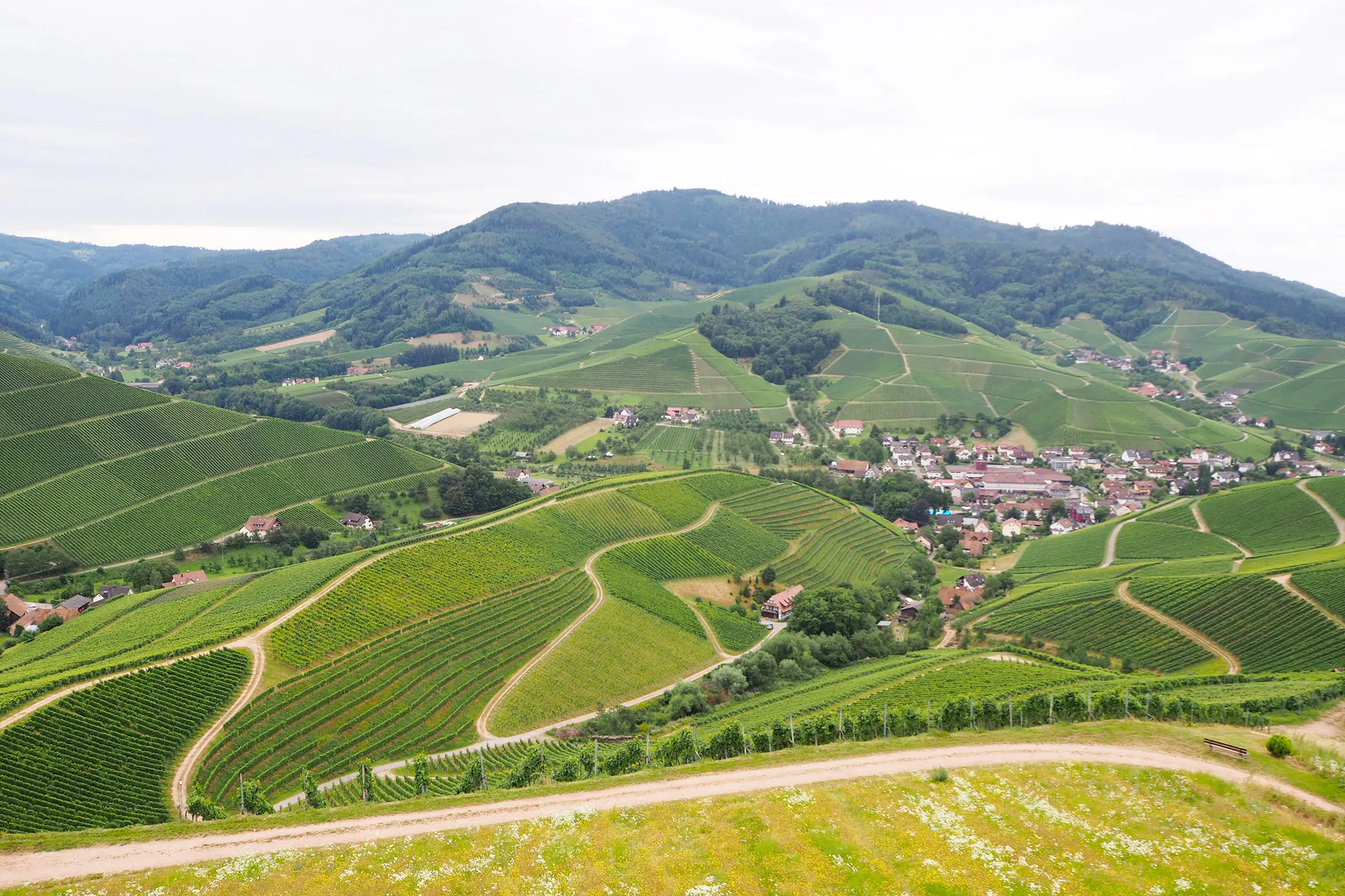 German Wine Country Scenic Village View