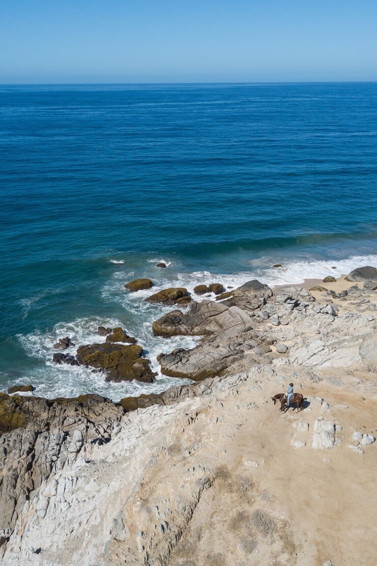 7 Things To Do In Los Cabos Mexico - Salt & Wind Travel