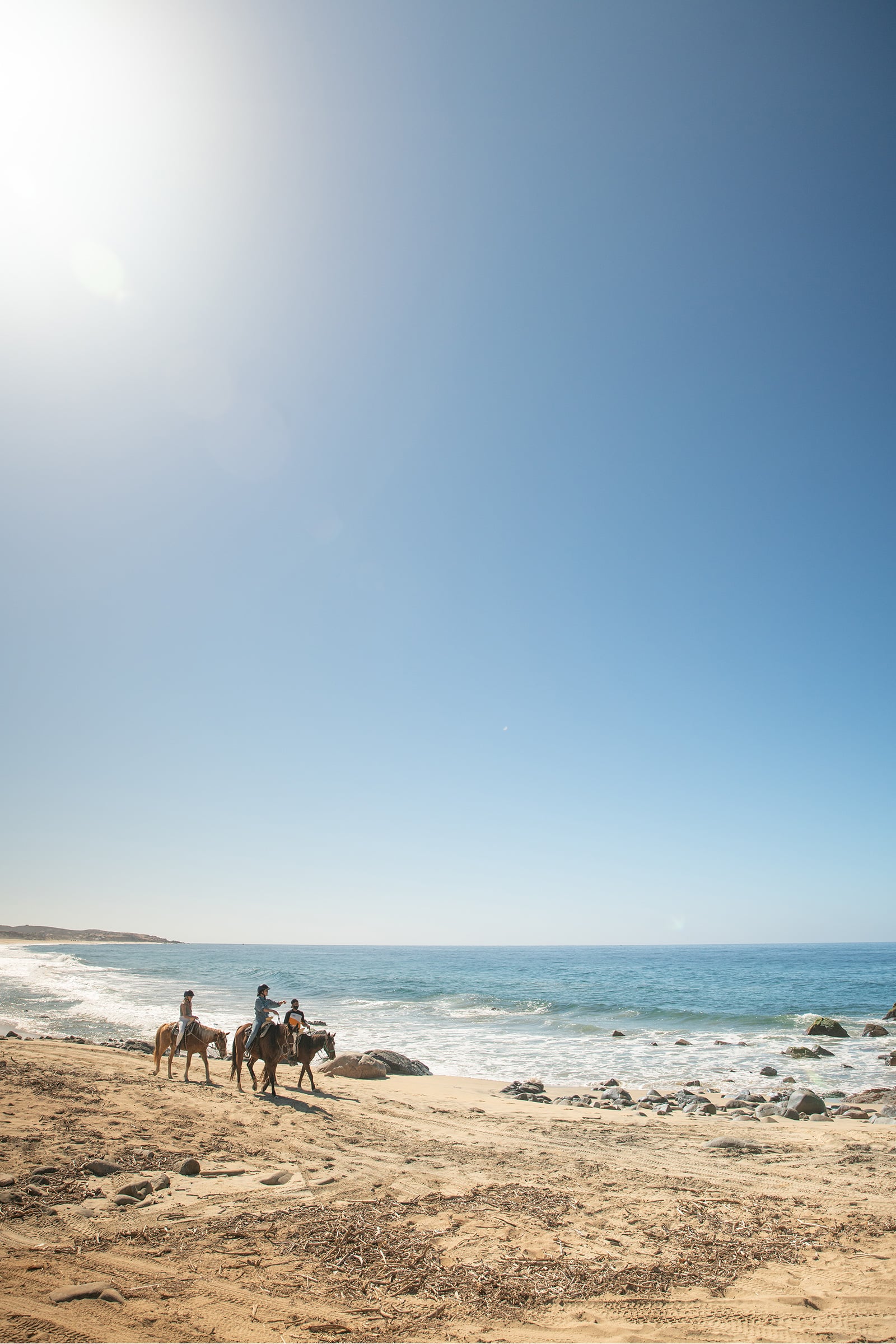 Horseback Riding in Los Cabos Mexico