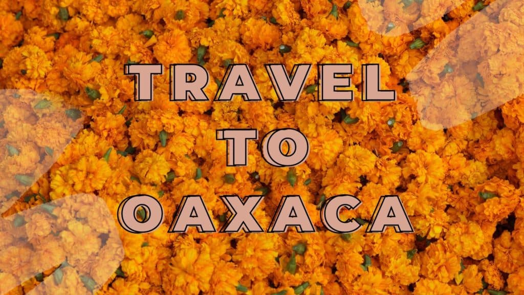 2023 Oaxaca Mexico Group Trip