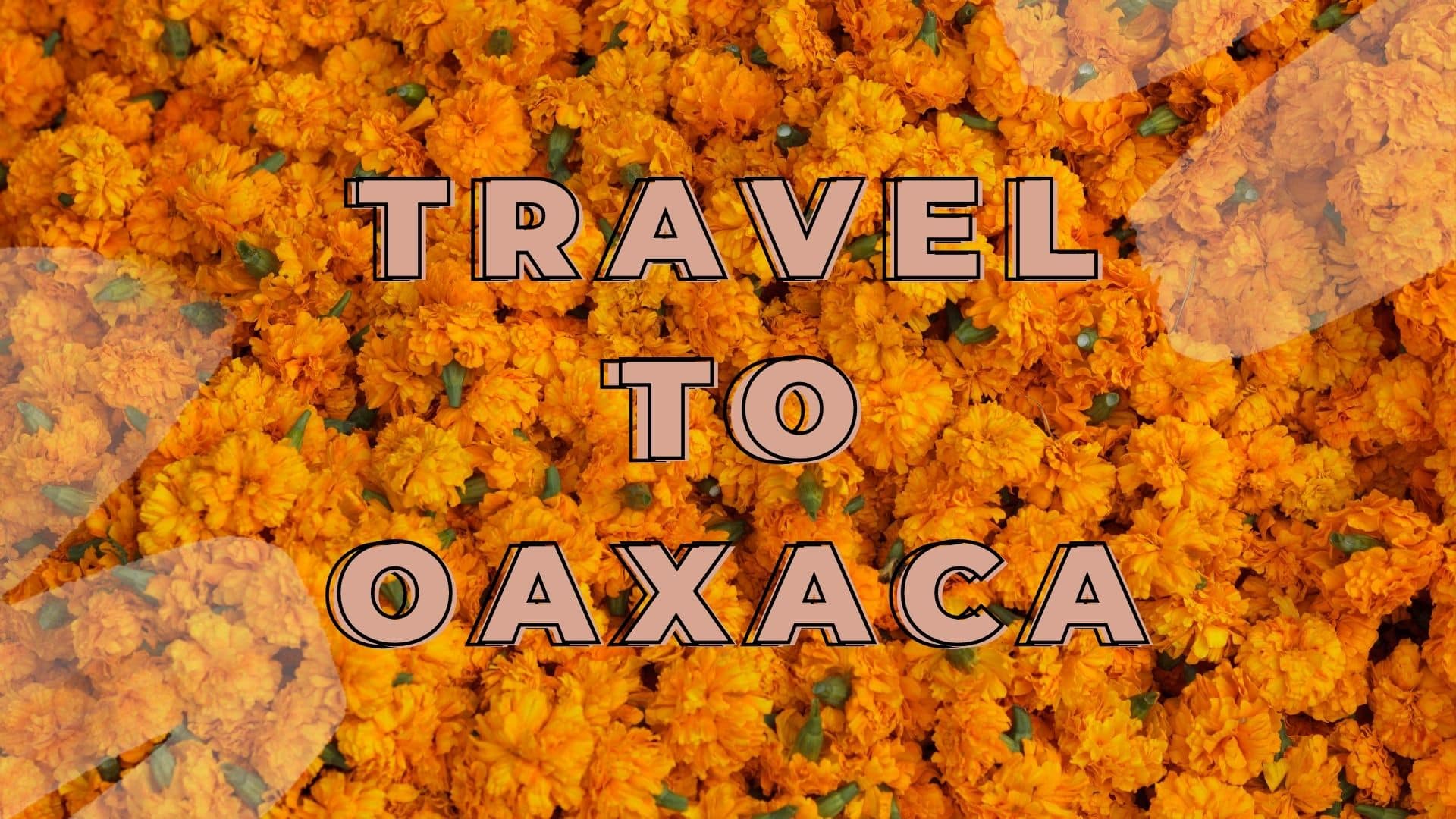 2022 Oaxaca Day Of The Dead Boutique Group Trip