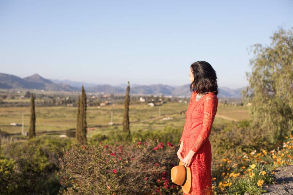 Landscape view of Valle De Guadalupe with woman
