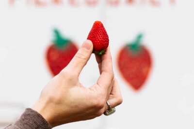 Simple Strawberry-Tarragon Purée Recipe