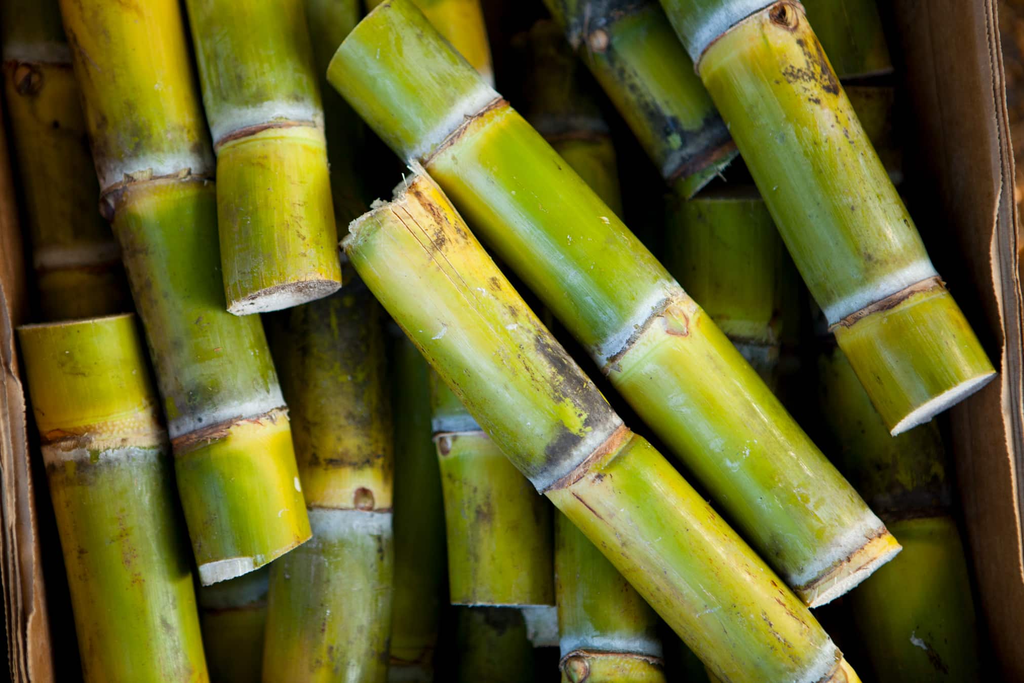 Sugarcane Pieces Credit: Hawaii Tourism Authority (HTA) / Dana Edmunds