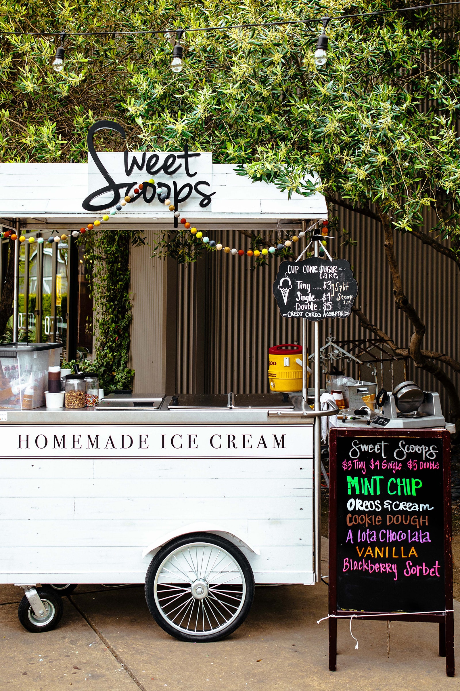 Sweet Scoops Ice Cream Sonoma California