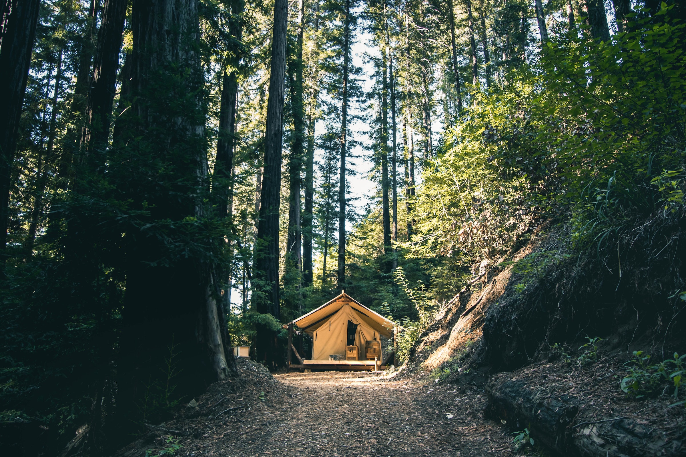 Tent In The Woods Big Sur California