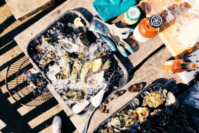 tomales bay oyster crawl 4