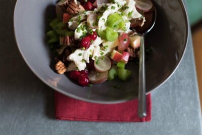 Shredded Turkey Cranberry Waldorf Salad Recipe