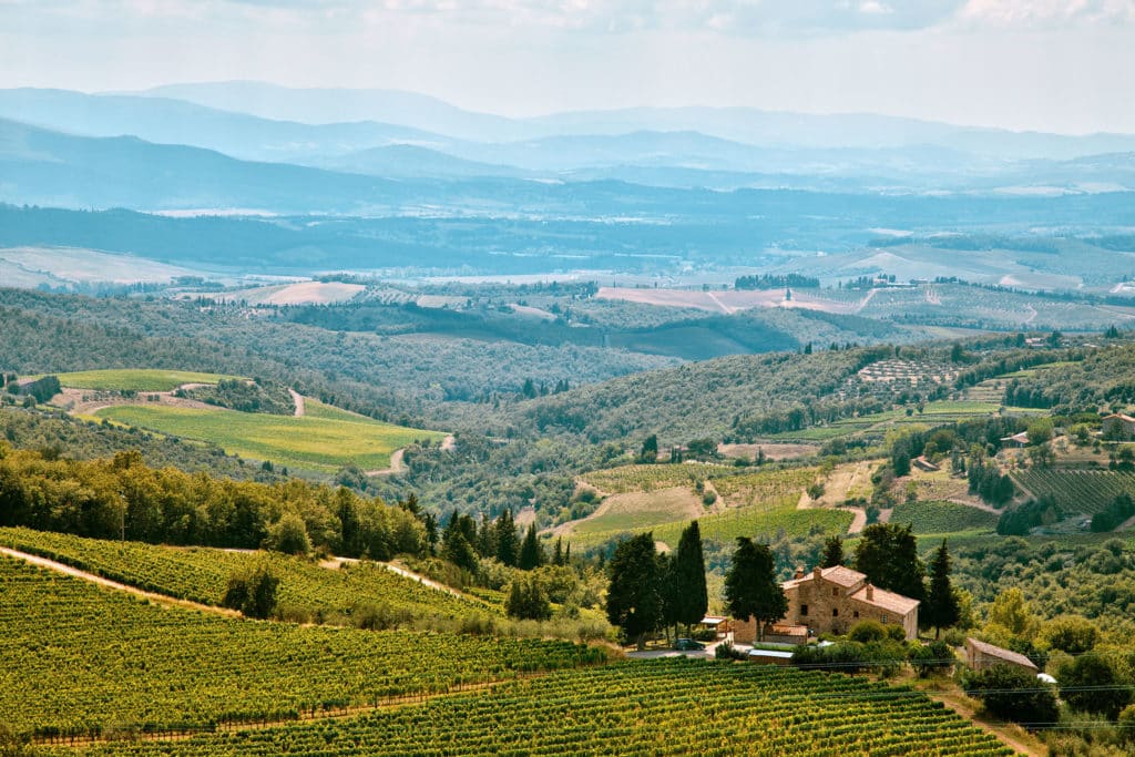 Landscape photo of Tuscan vineyards