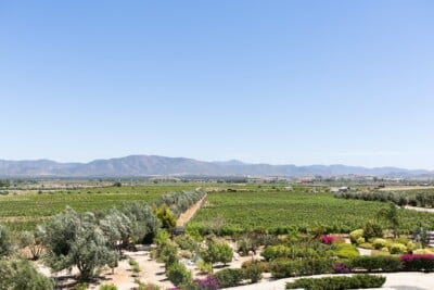 Landscape photo of Valle De Guadalupe Mexico wine region