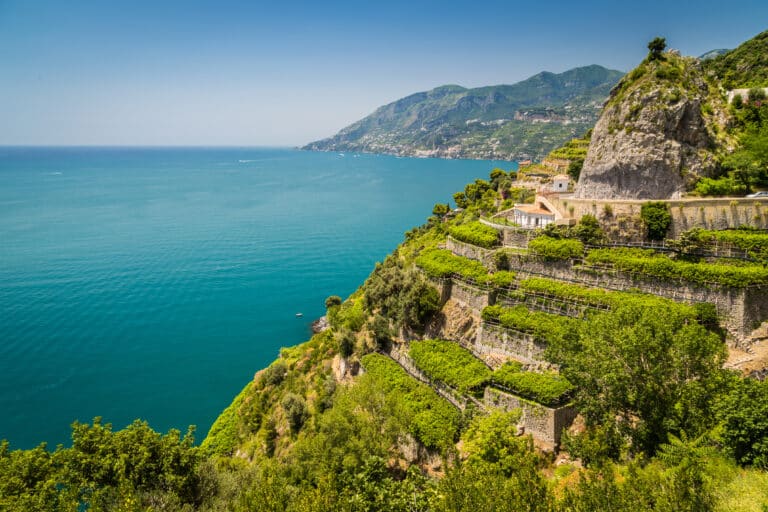 Amalfi Coast Vineyards