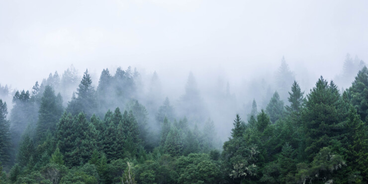Northern California Towns