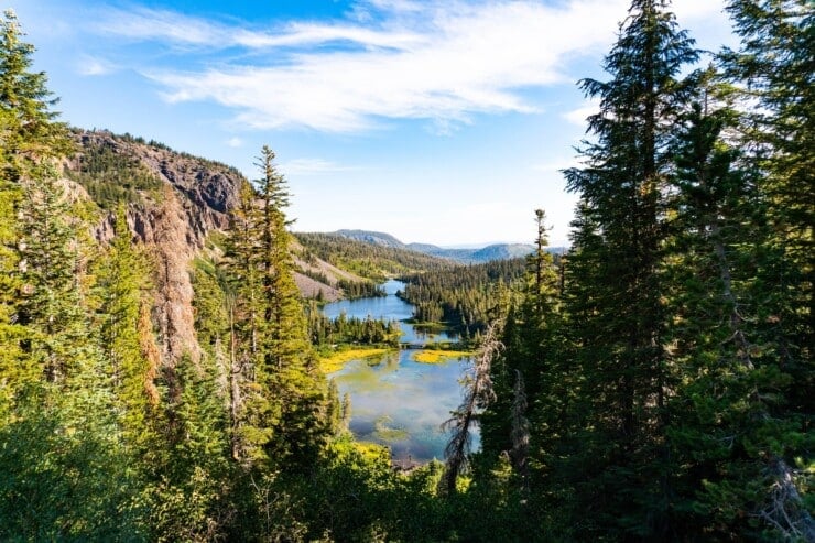 View of lakes through trees