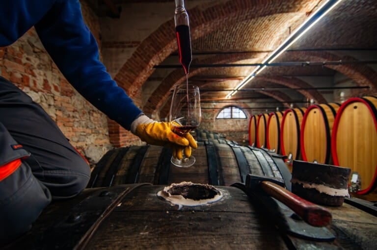 Wineries in Piedmont Italy