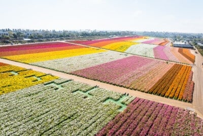 Farm Tours