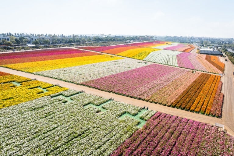 Farm Tours