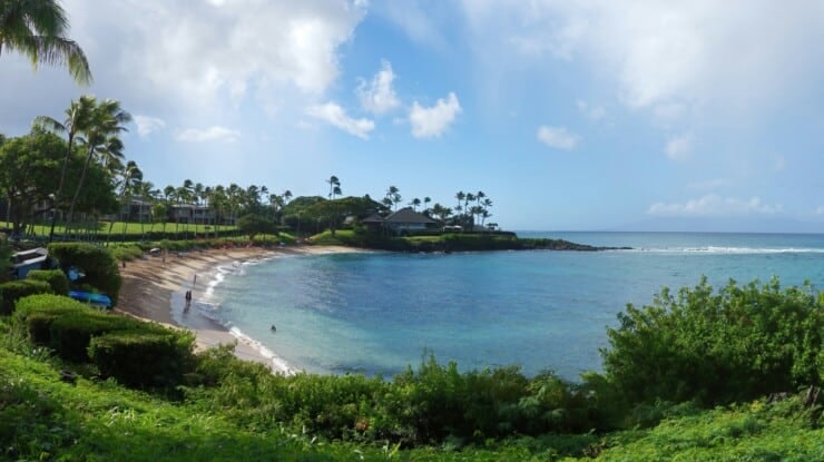 Beach cove with green plants, buildings, and palm trees