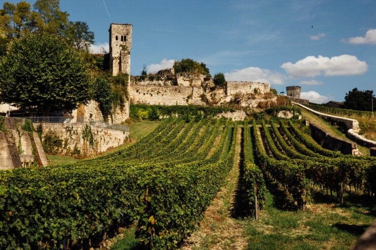 Winery in France with old ruins