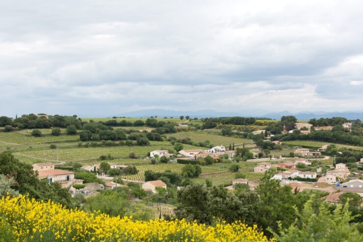 Panoramic view in Chateauneuf-du-Pape